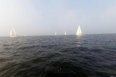 2014-09-06_regatta_02