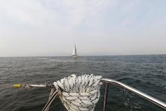 2014-09-06_regatta_10_2