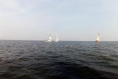2014-09-06_regatta_12