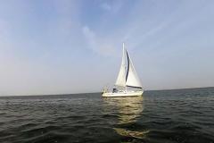 2014-09-06_regatta_13