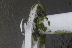 Segeltour_zur__Schleuse_mit__Uebernachtung_2014_6