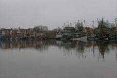 DSCN0732