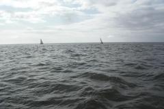DSCF1367