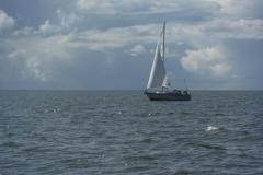 DSCF1372