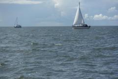 DSCF1373
