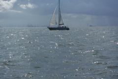 DSCF1374