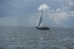 DSCF1375