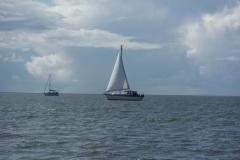 DSCF1376