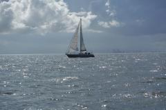 DSCF1377