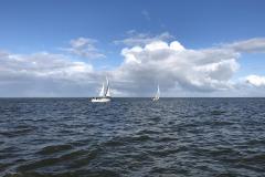 IMG_0190