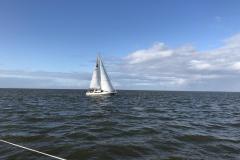 IMG_0195