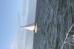 IMG_0203