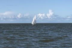 IMG_0238