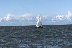 IMG_0239