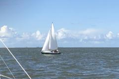 IMG_0241