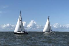 IMG_0246