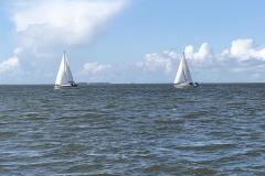 IMG_0248