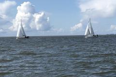 IMG_0251