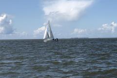 IMG_0253