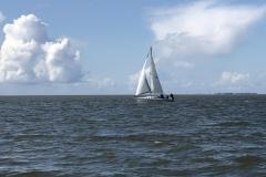 IMG_0255