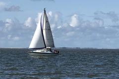 IMG_0260