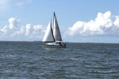 IMG_0262