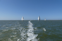 P1040102_Vor_dem_Wind