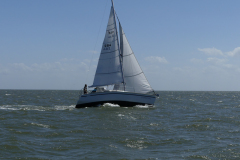 P1040133_Hart_am_Wind
