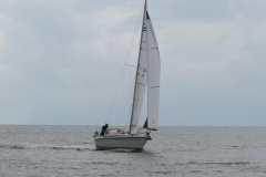 P1050385