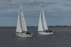 P1050781