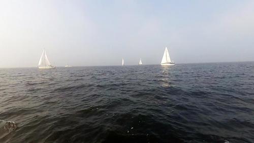 2014-09-06 regatta 02